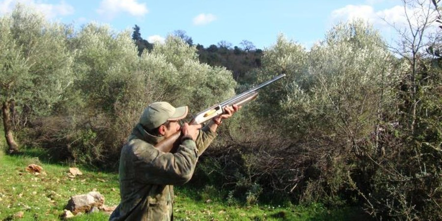 Περιβόλι γεμάτο…άγρια πτηνά – Δεκάδες ζωντανά απελευθερώθηκαν, άλλα τόσα νεκρά – Καταγγελία σε 30χρονο
