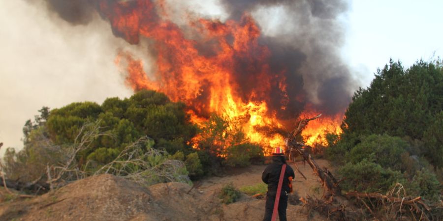 ΕΠ.ΛΕΜΕΣΟΥ: Σε εξέλιξη δασική πυρκαγιά – Στον αέρα και τα πτητικά μέσα