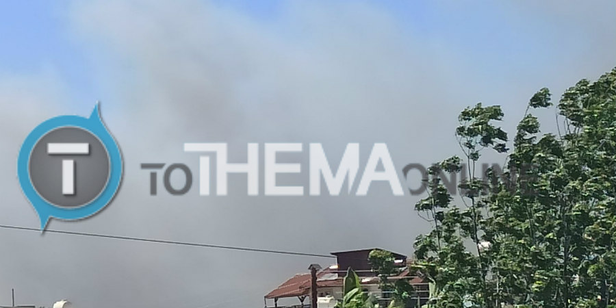 Φωτιά στη Λεμεσό: Κοντά σε υποστατικά η πυρκαγιά – Οι ισχυροί άνεμοι δυσκολεύουν την κατάσβεση – ΦΩΤΟΓΡΑΦΙΕΣ&BINTEO  