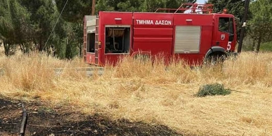 Δασική πυρκαγιά σε περιοχή του Δήμου Αραδίππου - Προκλήθηκε από καψάλισμα χόρτων
