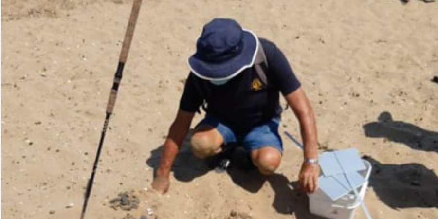 Γεννητούρια θαλάσσιων χελωνών καρέτα – καρέτα στο Κίτι - BINTEO 