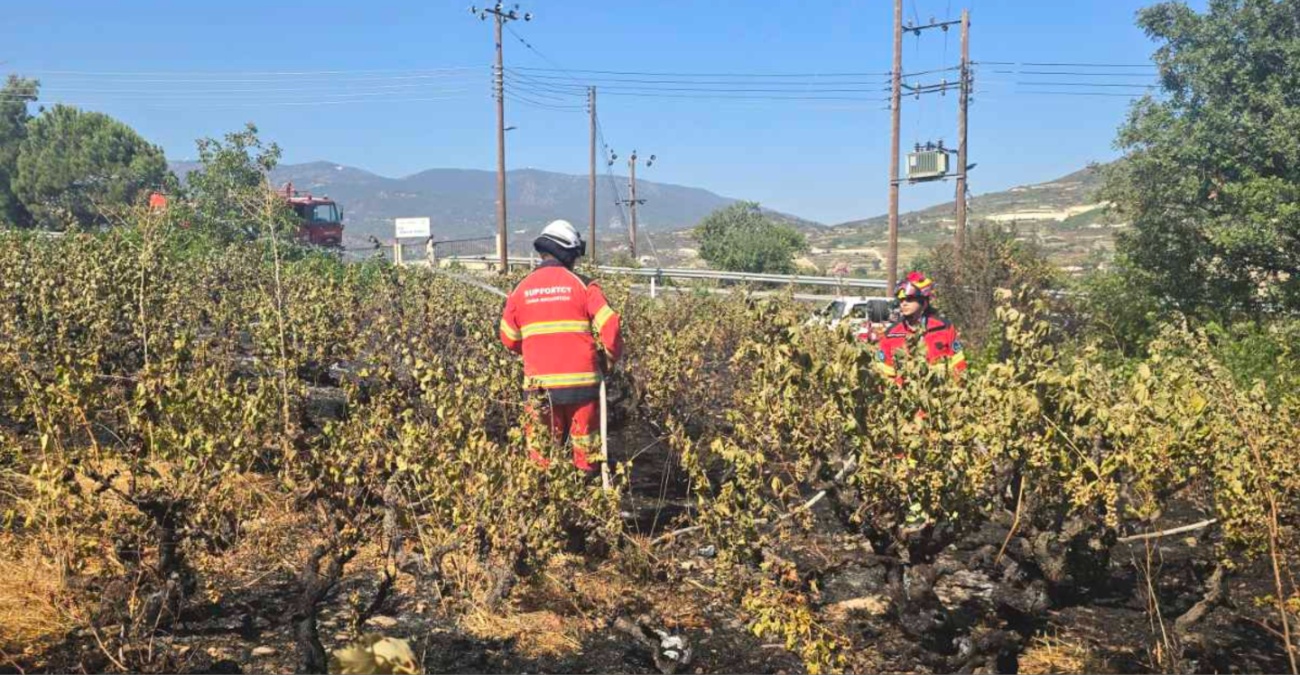 «Δεν είναι τυχαίες» – Δύο πυρκαγιές κοντά στο Όμοδος μέσα σε δύο βδομάδες - Το κοινό που εντοπίζουν οι Αρχές