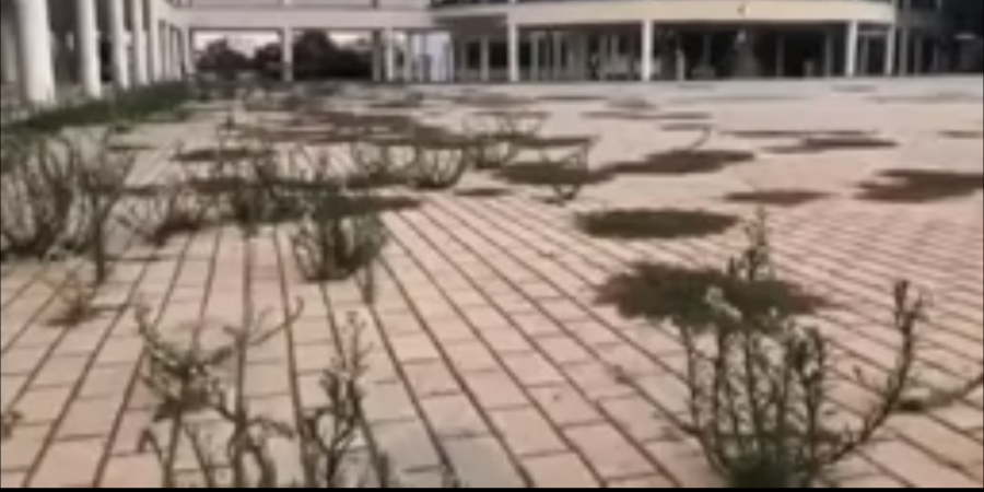 ΛΑΡΝΑΚΑ: Αλγεινή εικόνα σε Λύκειο – Σε λίγες μέρες το πρώτο κουδούνι -VIDEO