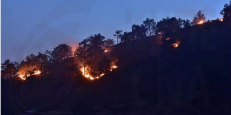 Υπό πλήρη έλεγχο δασική πυρκαγιά σε περιοχή της κοινότητας Πύργου Λεμεσού - Η Πυροσβεστική πρόλαβε τα χειρότερα