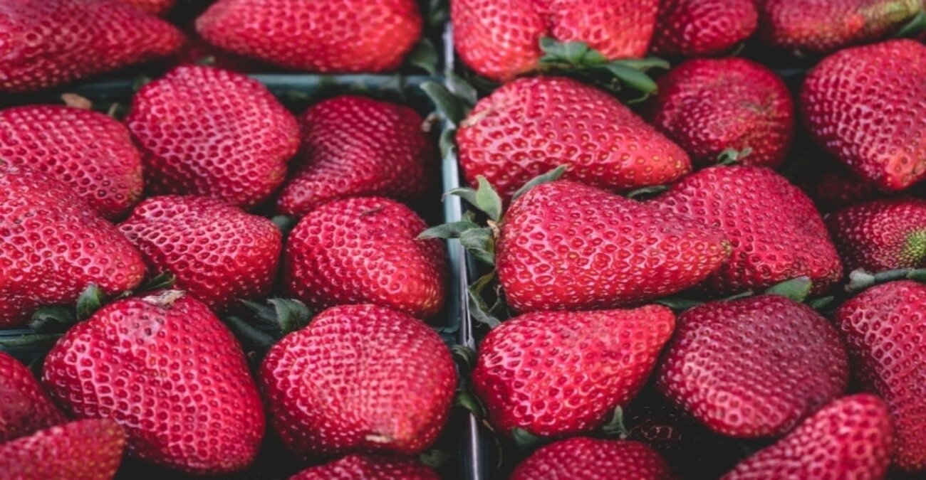 Μείναμε άναυδοι: Εσύ ήξερες τι είναι λευκές κουκκίδες στις φράουλες;
