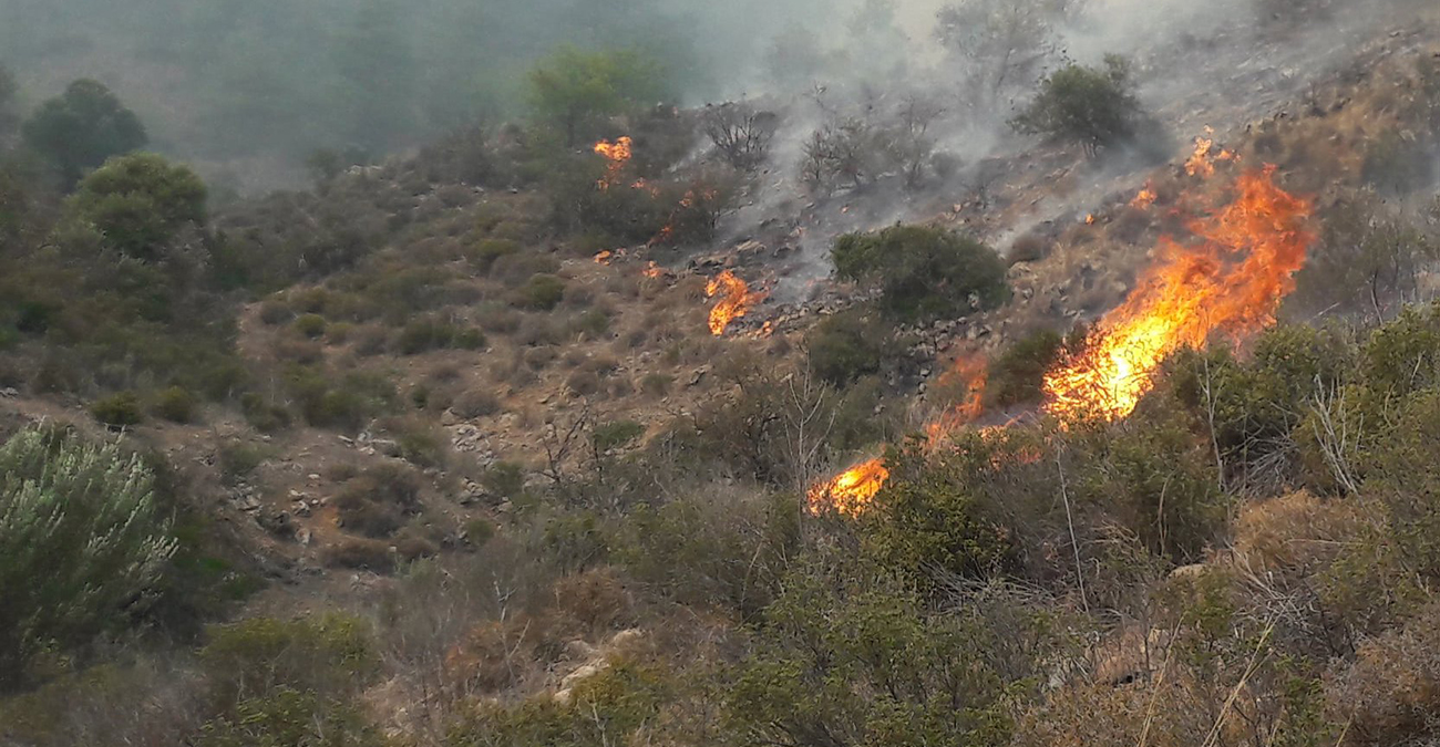 Σε επίπεδο «Κόκκινου Συναγερμού» ο κίνδυνος πρόκλησης δασικών πυρκαγιών για τη μέρα του Δεκαπενταύγουστου