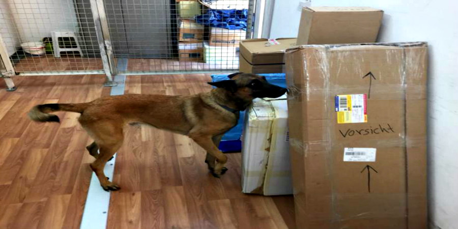 ΠΑΦΟΣ: Μυρίστηκε τα ναρκωτικά μέσα από το δέμα ο σκύλος του Τελωνείου  