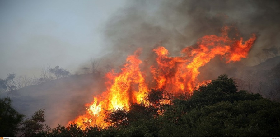 ΛΕΥΚΩΣΙΑ: Πυρκαγιά στην κοινότητα Σαράντι - Τέθηκε υπό πλήρη έλεγχο