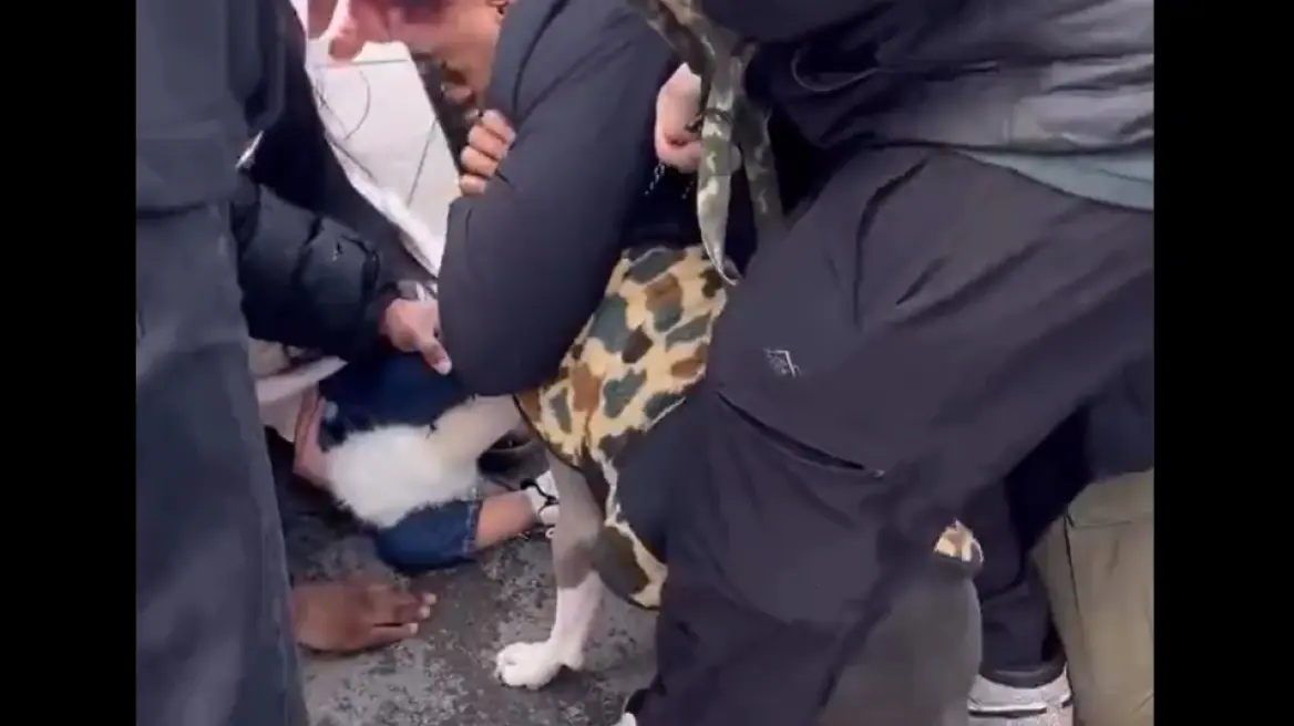 Τρόμος για παιδί 1 έτους στη Νέα Υόρκη: Του επιτέθηκε πίτμπουλ και δεν το άφηνε από τα σαγόνια του - Ανατριχιαστικό βίντεο