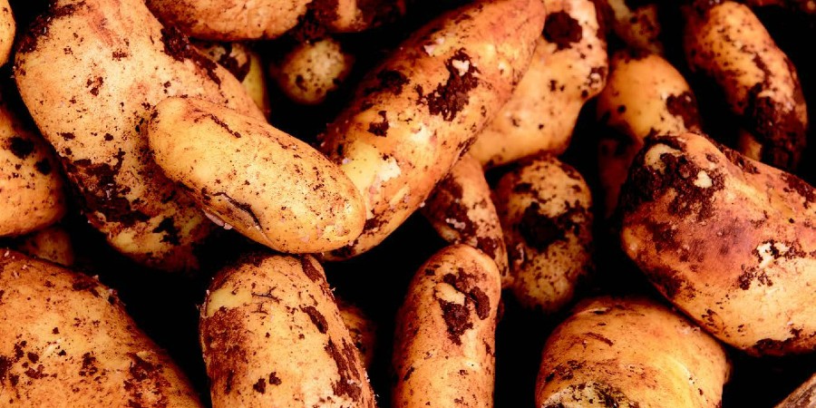 Παραεμπόριο κυπριακής πατάτας στην Ελλάδα – Συνεργασία Κύπρου - Ελλάδας για παρεμπόδησή του