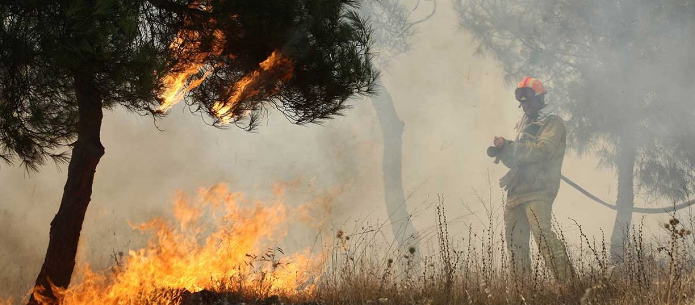 Στο πόδι η Πυροσβεστική - Έτρεχε να σβήσει πυρκαγιές σε Αμμόχωστο και Πάφο – «Κακόβουλη πράξη» 