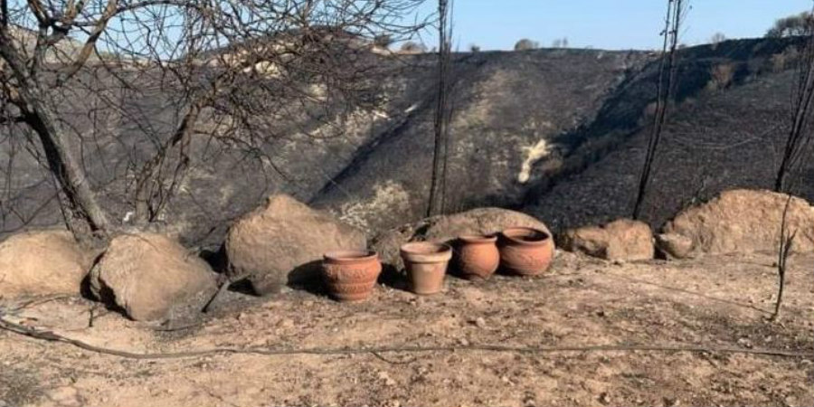 «Στάχτη και αποκαΐδια» από την πυρκαγιά η εικόνα στις πληγείσες περιοχές στην Πάφο