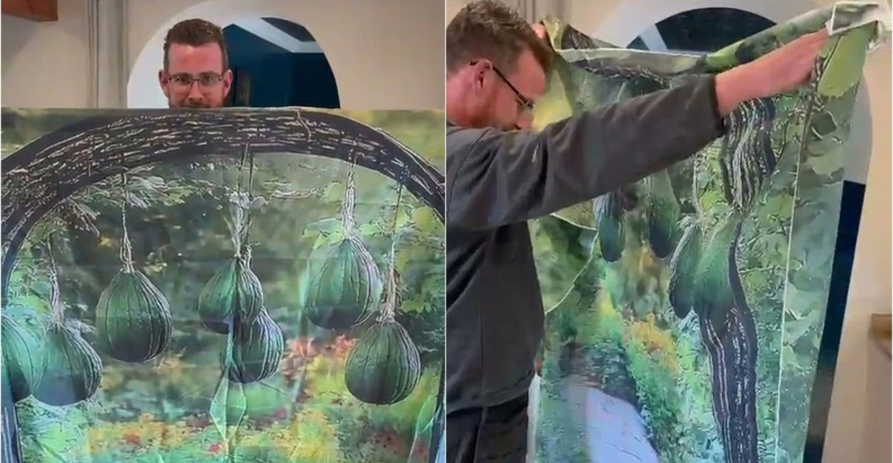 Απίστευτο fail από Temu: Παρήγγειλαν μεταλλική αψίδα κήπου και έλαβαν μια... φωτογραφία - Βίντεο