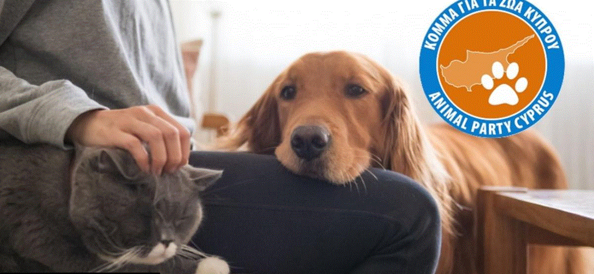 Βουλευτικές Εκλογές: Σχέδια Κόμματος για τα Ζώα για συνεργασία με μη κοινοβουλευτικό κόμμα – Πότε θα αποφασίσει