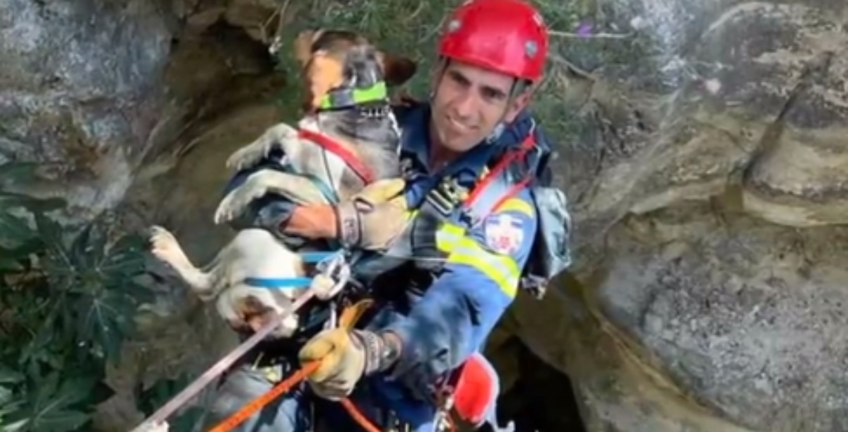 Βίντεο από την στιγμή διάσωσης σκύλου - Έπεσε σε χαράδρα 200 μέτρων στην Πάφο
