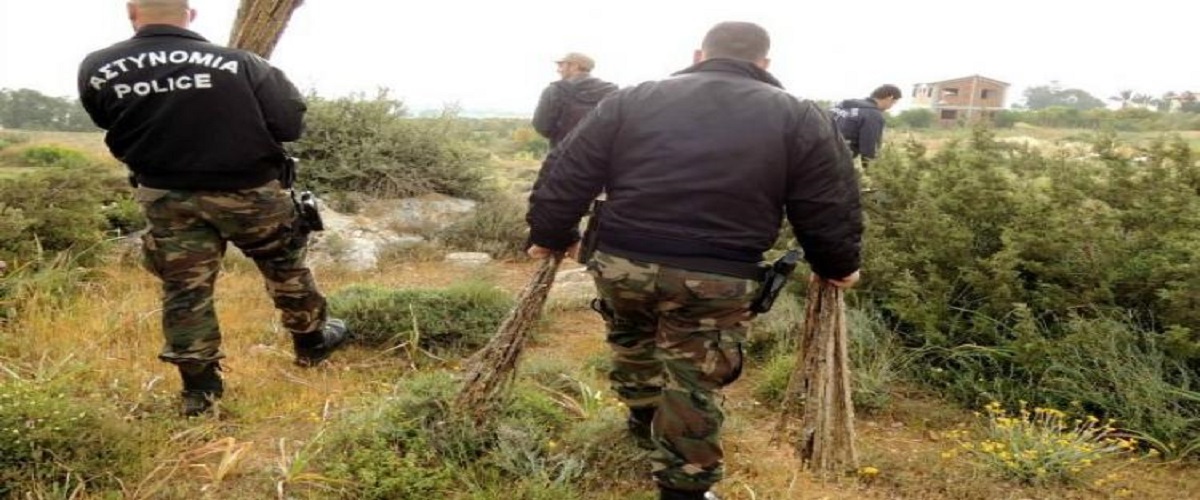 Επιχείρηση ΜΜΑΔ κατά της λαθροθηρίας: 103 άγρια πτηνά απελευθερώθηκαν από δίκτυα παγίδευσης – 12 βρέθηκαν νεκρά