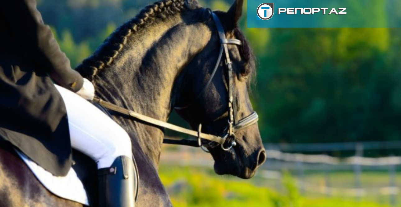 Έρχονται πρόστιμα; Νομοσχέδιο για τίναγμα χαλιών και γάβγισμα σκύλου – Πλήθος αντιδράσεων – Διευκρινίσεις από το Υπουργείο