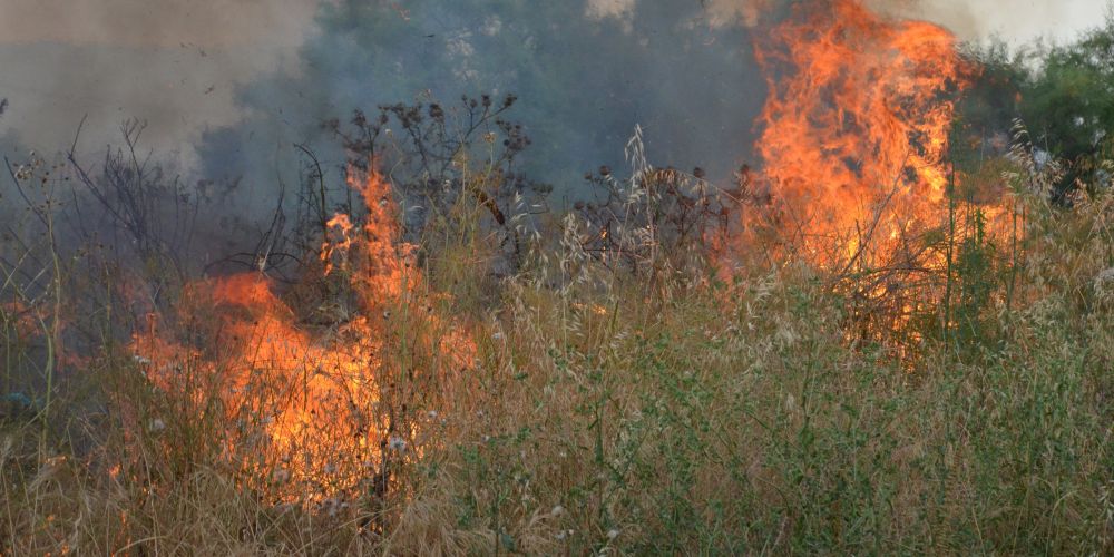 ΠΑΦΟΣ: Υπό πλήρη έλεγχο πυρκαγιά – Στακτή τέσσερα δεκάρια βλάστησης