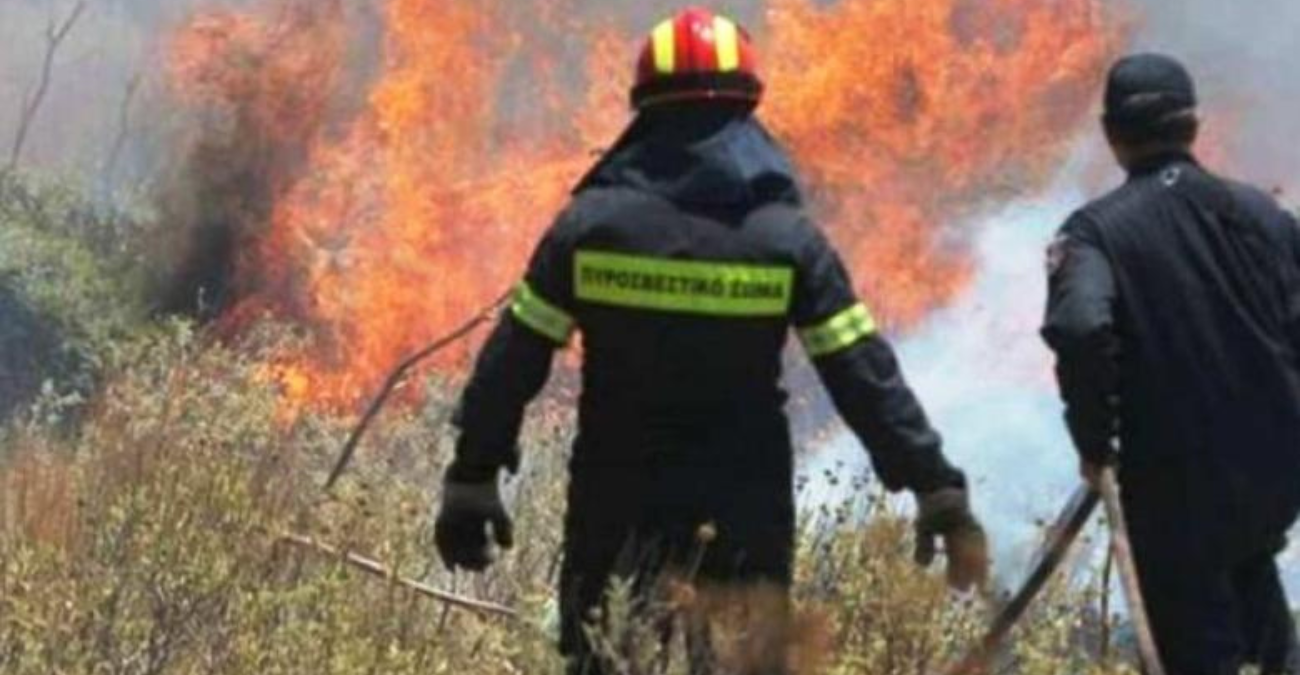 Υπό έλεγχο η πυρκαγιά στη Δρούσεια – Κάηκε έκταση ενός δεκαρίου με άγρια βλάστηση