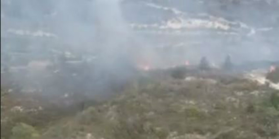 ΠΑΦΟΣ: Άμεση επέμβαση Πυροσβεστικής και υπό έλεγχο η πυρκαγιά - VIDEO