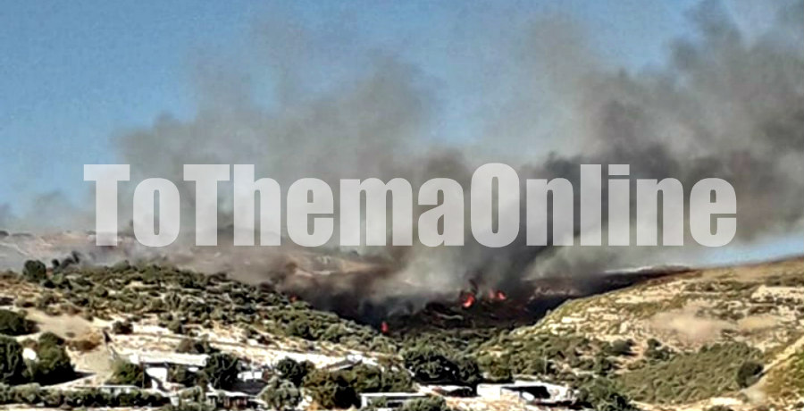 ΕΠ. ΛΕΜΕΣΟΥ: Σε ύφεση η φωτιά στην Άλασσα με συνεχείς αναζωπυρώσεις