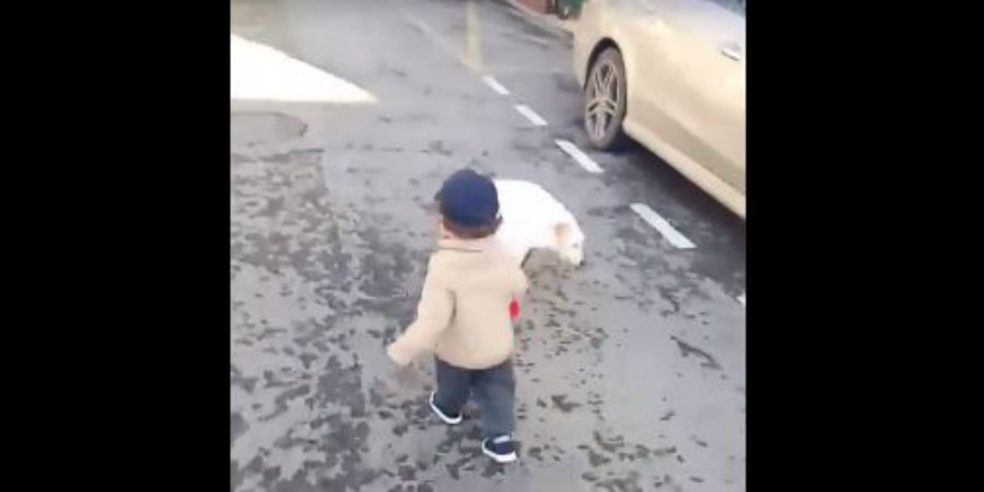 ΚΥΠΡΟΣ: Εικόνες ντροπής - Ένα μικρό παιδάκι μάταια προσπαθεί να πάρει βόλτα το σκύλο του -VIDEO