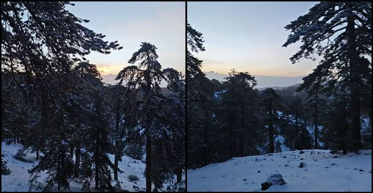 Κατάλευκο το Τρόοδος από τη χθεσινοβραδινή χιονόπτωση – Μαγικές εικόνες από την ανατολή του ήλιου – Δείτε βίντεο