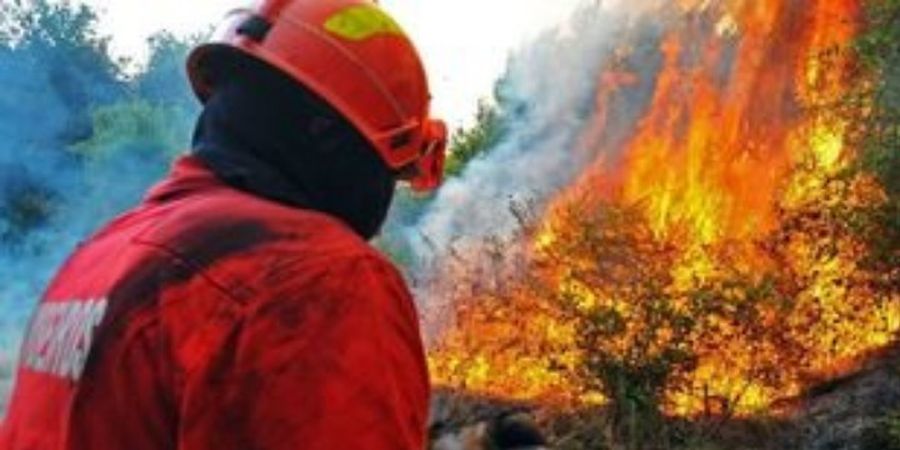 Δασικές πυρκαγιές στην Πορτογαλία λόγω καύσωνα-Διακόπηκε η λειτουργία 4 πυρηνικών αντιδραστήρων σε εργοστάσια της Γαλλίας