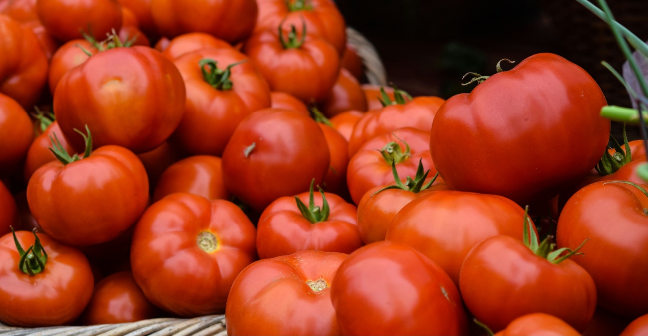 Δημιουργήθηκε ποικιλία ντομάτα με άρωμα… ποπ κορν