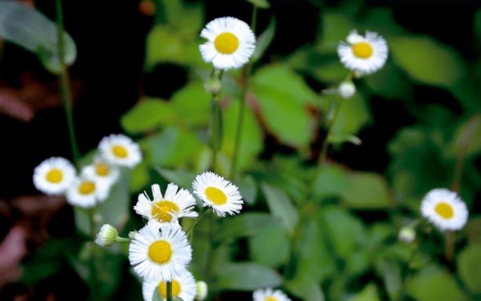 Εορτολόγιο: Ποιοι γιορτάζουν σήμερα, Παρασκευή 17 Απριλίου - Μην ξεχάσετε να τους ευχηθείτε