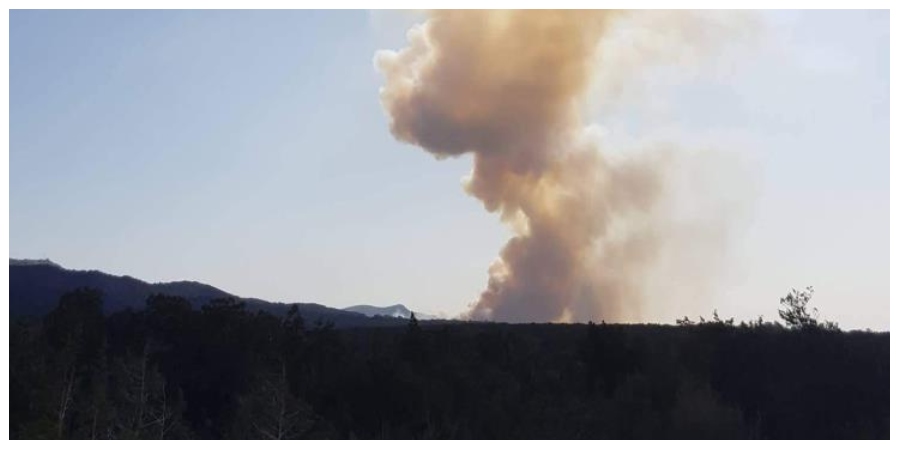 Απευθείας τέθηκε η πυρκαγιά στο Κρατικό Δάσος του Ακάμα και όχι με κάποιο μηχανισμό