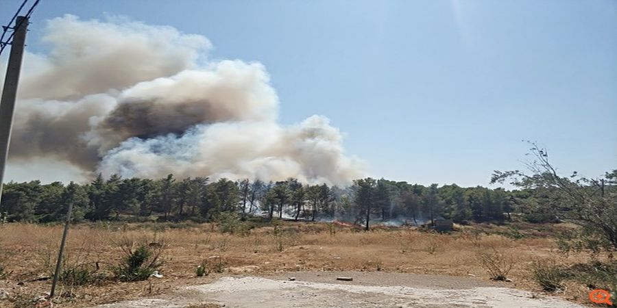 ΕΛΛΑΔΑ: Μεγάλη πυρκαγιά στη Ραφήνα - ΦΩΤΟΓΡΑΦΙΕΣ 
