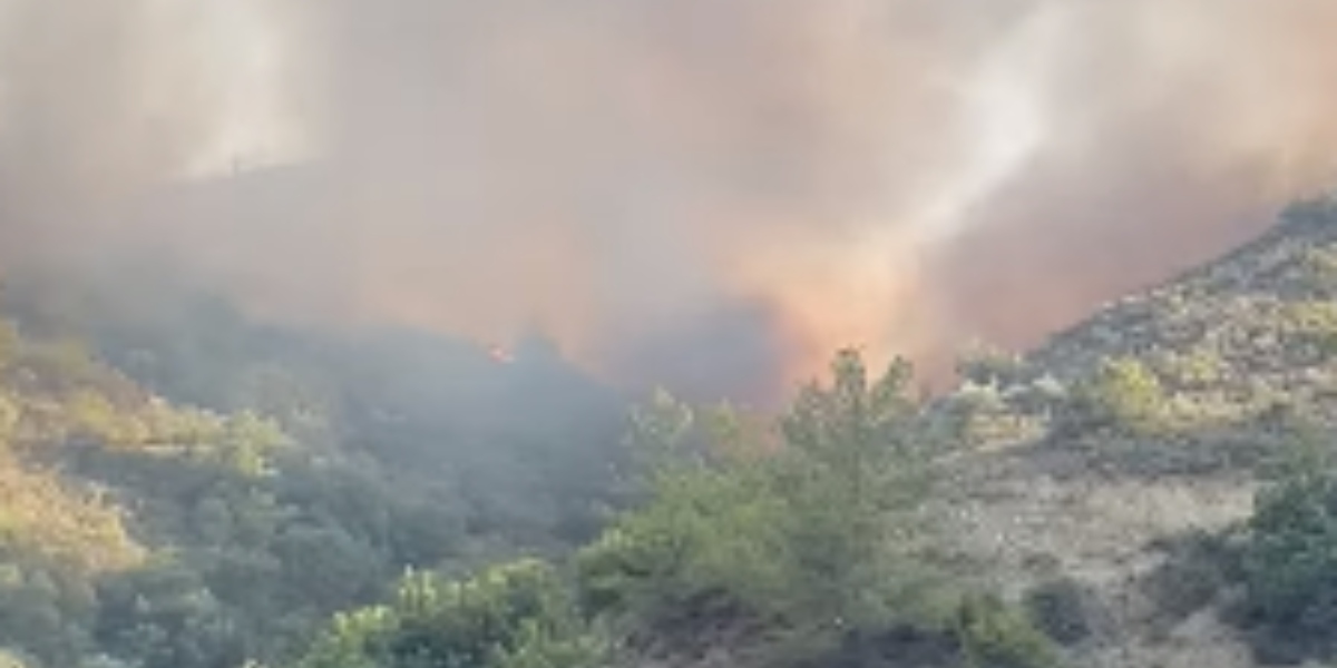 Πυρκαγιά Διερώνα: Βοήθησε η άπνοια - «Αν είχαμε τους ανέμους θα είχαμε φωτιά του μεγέθους Αρακαπά»