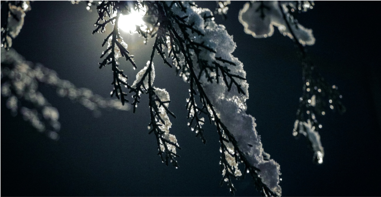 Παγωμένη νύχτα : Σε ποιες περιοχές θα σχηματιστεί παγετός – Πότε ανεβαίνει ο υδράργυρος