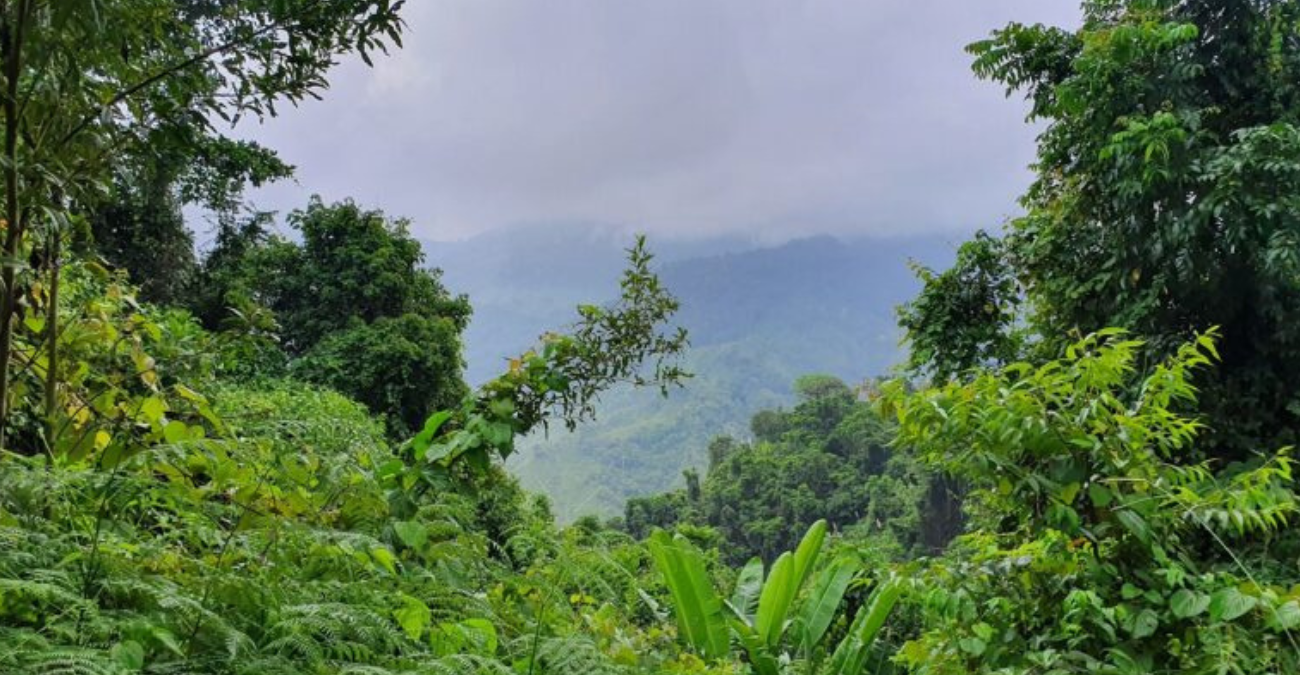 Μισό εκατομμύριο άνθρωποι διέσχισαν τη ζούγκλα του Νταριέν το 2023 καθ’ οδόν προς τις ΗΠΑ