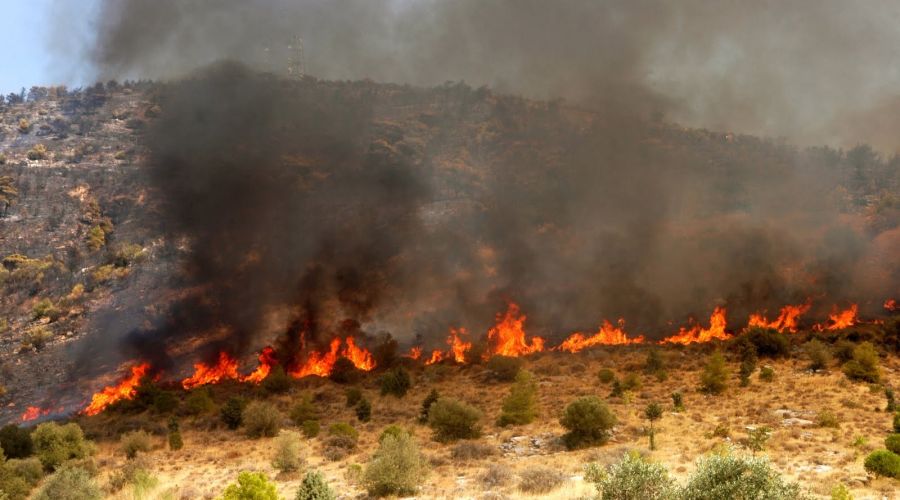 ΛΕΥΚΩΣΙΑ: Πέντε δεκάρια γης έκαψε πυρκαγιά – Αεροπλάνα επιχείρησαν για την κατάσβεσή της