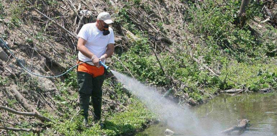 ΛΕΜΕΣΟΣ: Ρίχνονται στη «μάχη» με τα κουνούπια οι αρμόδιες Αρχές- Εντονότερο φέτος το πρόβλημα