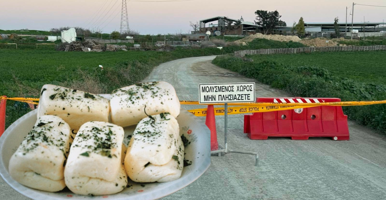 Αναστάτωση στα Λειβάδια: Είναι ασφαλές το χαλούμι μετά το κρούσμα αφθώδους πυρετού;