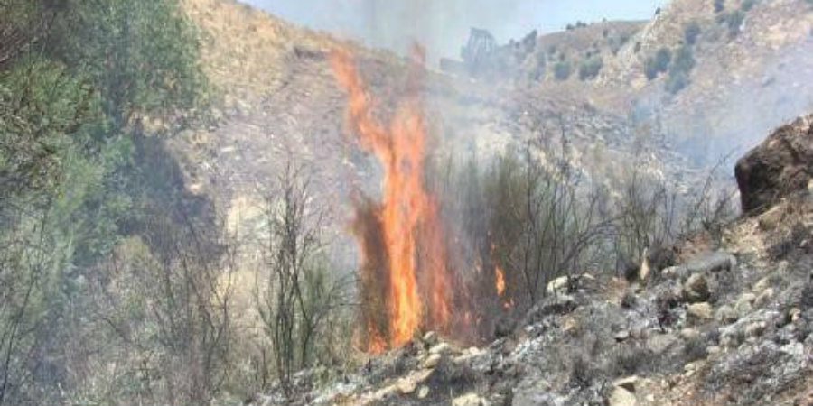 Yπό έλεγχο η φωτιά στη Λάγεια - Ανακόπηκε πριν επεκταθεί σε δασική περιοχή