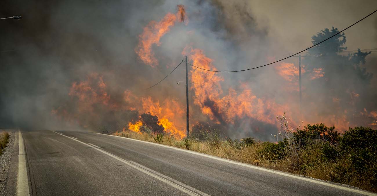  «Σας ευχαριστώ, σας έφερα λίγο νερό» – Πιτσιρικάς έκανε 2 χλμ στον καύσωνα και συγκίνησε πυροσβέστες στην Ελλάδα 