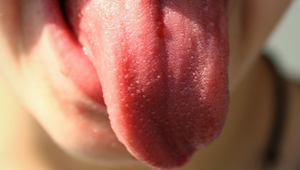 Οι επιστήμονες υποστηρίζουν πως «μυρίζουμε» και με τη γλώσσα