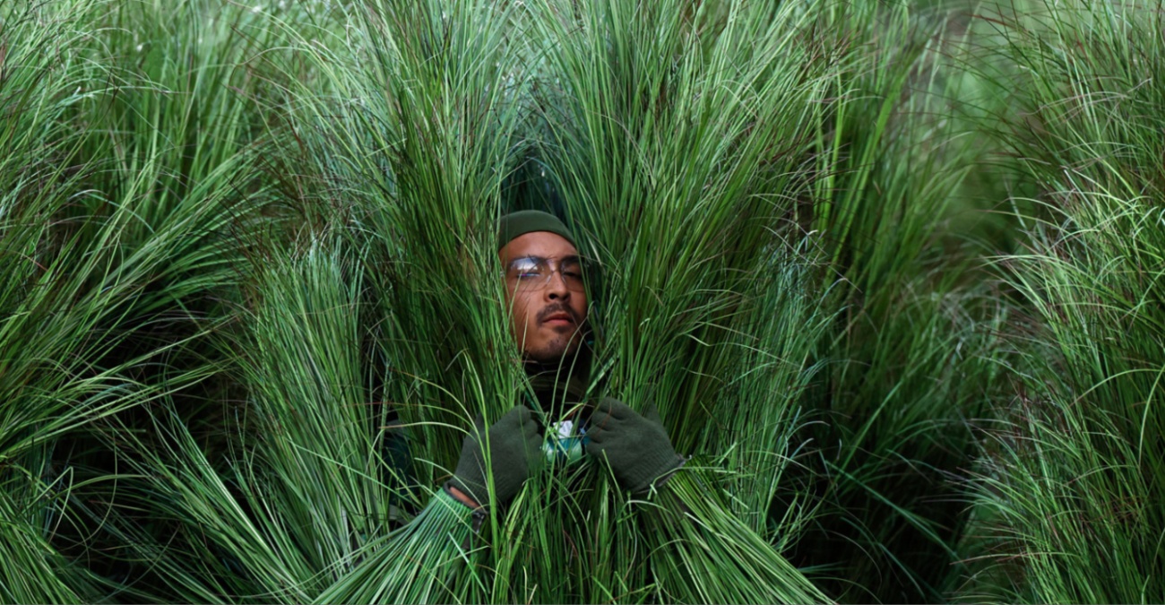 Super Bowl: Έβγαλαν πάνω από 1.300 δολάρια κάνοντας τους... θάμνους στο halftime show του Bad Bunny