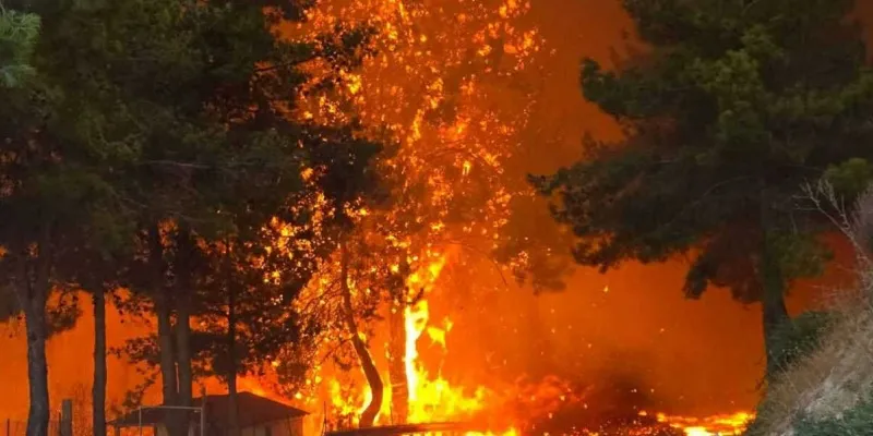 Συγκλονιστικές μαρτυρίες: «Yπήρξε καθυστέρηση, το ζήσαμε» - «Έκανε σαν ανεμοστρόβιλο, η φωτιά πέταξε, μας περικύκλωσε»