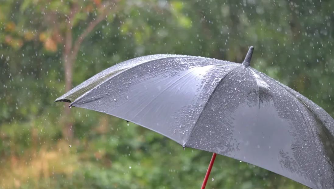 Πρόγνωση καιρού: Αυτές τις μέρες και ώρες αναμένονται βροχές και καταιγίδες - Ποιες περιοχές επηρεάζονται - Πότε θα χιονίσει