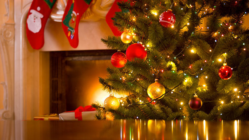 Προσοχή: Πώς το χριστουγεννιάτικο δέντρο του σπιτιού σας μπορεί να σας προκαλέσει πρόβλημα υγείας  