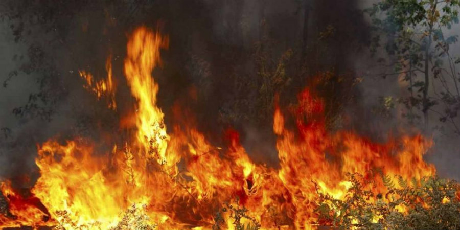 ΕΠ. ΠΑΦΟΥ: Πυρκαγιά κινητοποίησε την Πυροσβεστική – Η έκταση που κατέκαυσε
