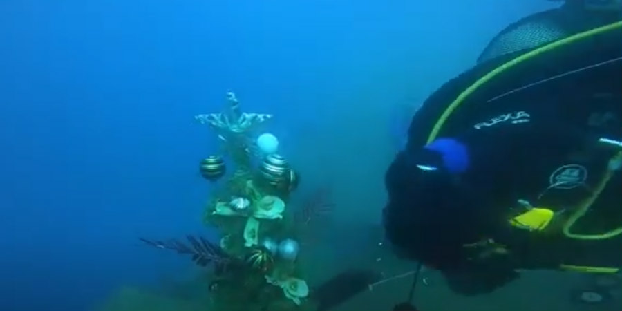 Τα Χριστούγεννα έφτασαν και στο βυθό της Λάρνακας - Εντυπωσιακό βίντεο με δύτες να στολίζουν δέντρο κάτω από το νερό