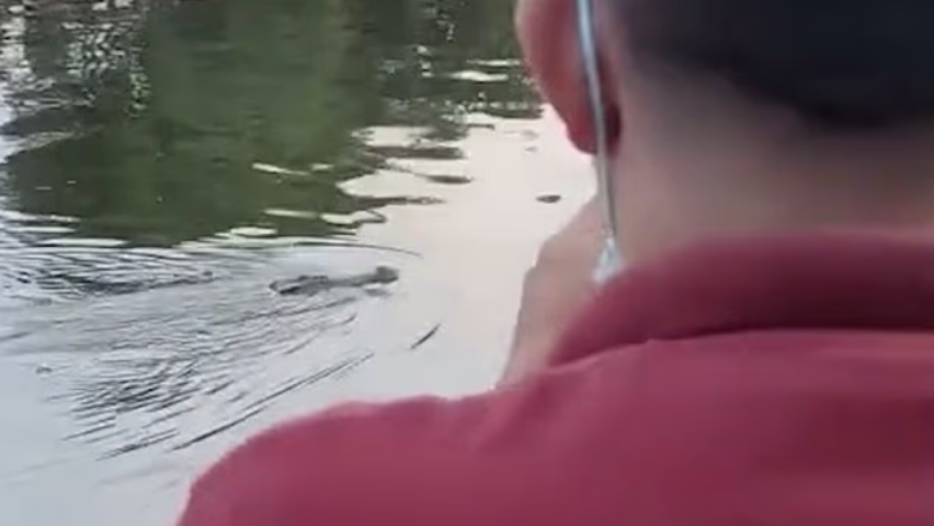 Φρικτός θάνατος για 10χρονο: Τον άρπαξε κροκόδειλος ενώ κολυμπούσε με φίλους του