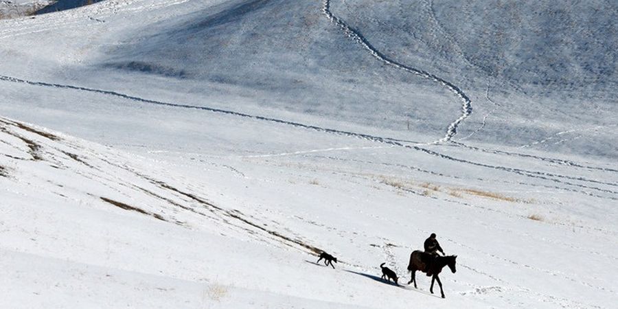 Επιστήμονες αναλύουν τους παράγοντες ενεργοποίησης των χιονοστιβάδων