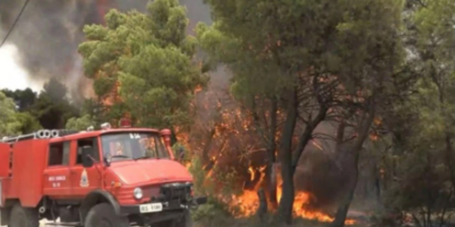 Φωτιά στη Γορτυνία: Στα δέκα χιλιόμετρα εκτείνεται το πύρινο μέτωπο - Κάηκαν σπίτια - Ενισχύονται συνεχώς οι πυροσβεστικές δυνάμεις